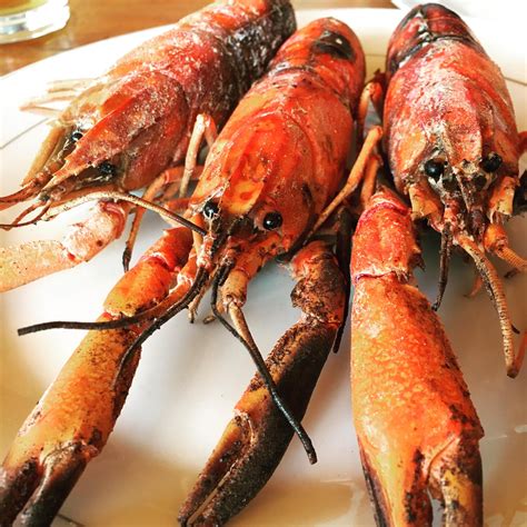 [I Ate] Barbecued freshwater Lobster Freshwater Lobster, Healthy Life, Healthy Living, Food ...