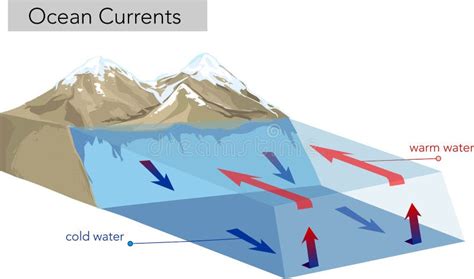 Cold Ocean Currents Diagram