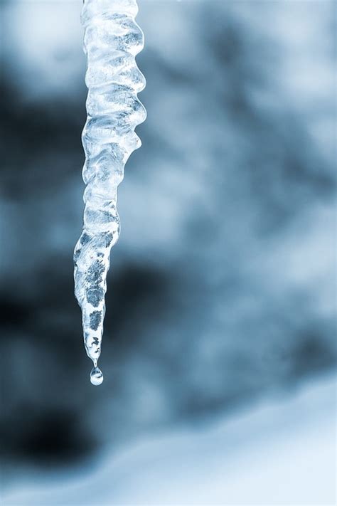 Icicle Ice Winter - Free photo on Pixabay