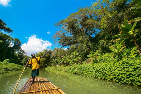 Guide to the Black River Safari, Jamaica | Beaches