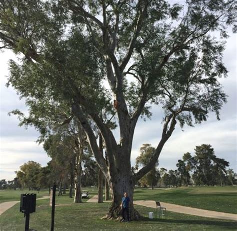 History Adventuring: How the Maryvale Golf Course became the Grand ...