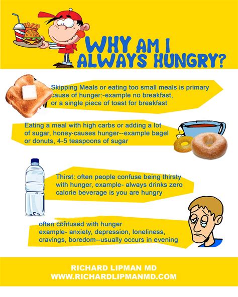 Infographic: Why Am I Always Hungry?