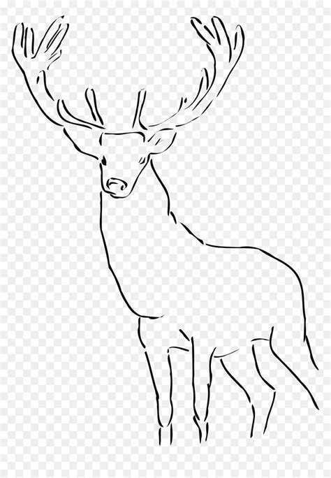 Stag Clipart Drawn - Reindeer Images Black And White, HD Png Download - vhv