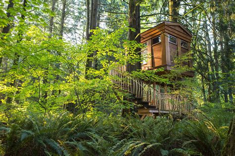 10 Tree-House Hotels in the U.S.