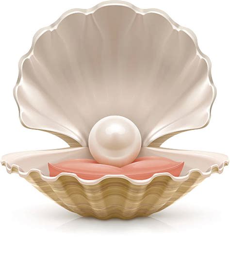 Oyster Pearl Clip Art