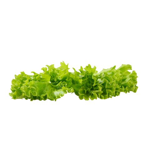 Green Flat Green Lettuce Leaves, Lettuce Clipart, Ingredients, Plant PNG Transparent Image and ...