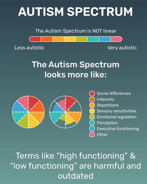 Autism Spectrum Wheel - Goally