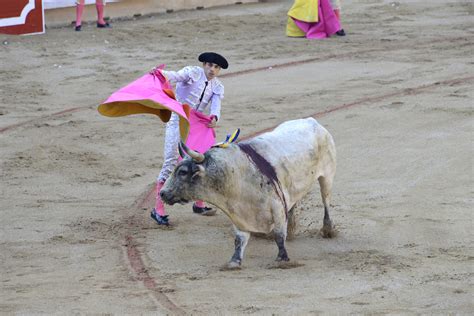 Matador Bullfight (18) | Pamplona | Pictures | Spain in Global-Geography