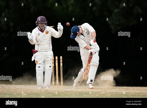 Batsman being bowled out Stock Photo - Alamy