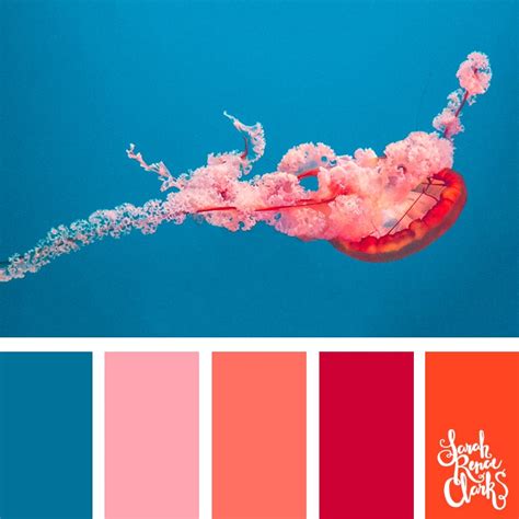 Vibrant jellyfish color scheme // 25 color palettes inspired by ocean ...