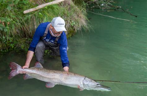 World Record Pike Caught in Italy - Flylords Mag