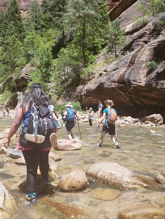 Zion Canyon Scenic Drive (Zion National Park) - 2018 All You Need to Know Before You Go (with ...