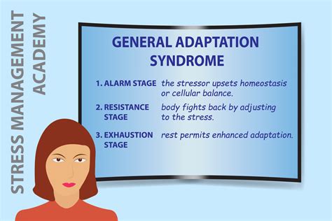 The General Adaptation Syndrome Describes Phases in the