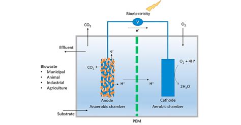 Graphical representation of microbial fuel cells. Adopted from [4]. | Download Scientific Diagram