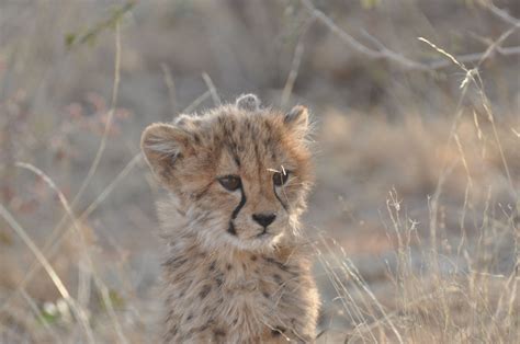 Sailors on Safari - Rob and Dee Overland in Africa 2014 - 10,000 miles ...