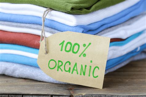 4 Eco-friendly Clothing Brands You Need To Know About