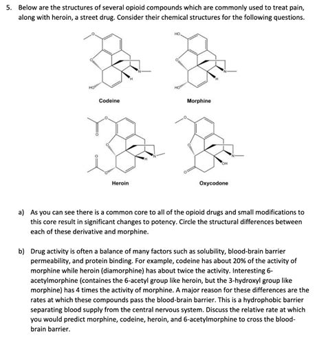 Solved Below are the structures of several opioid compounds | Chegg.com