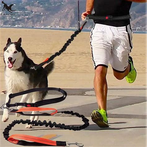 Dogs Leash Running Elasticity Hand Freely Pet Products Dogs Harness ...