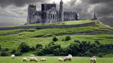 castle, Animals, Landscape, Ireland