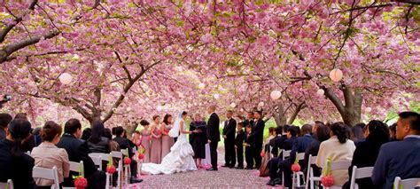 5 Scenic Wedding Venues in NYC | UrbanMatter