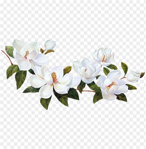 Flores Blancas Png - Bordes De Flores Blancas PNG Transparent With Clear Background ID 168094 ...