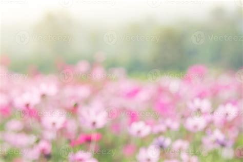 Blurry flower for background 6834243 Stock Photo at Vecteezy