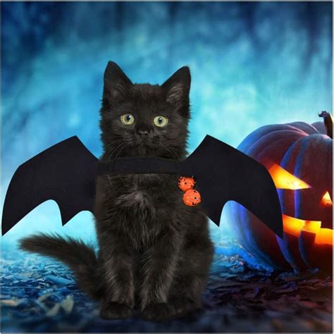 A Guide to Pet-Safe Halloween Costumes for Cats - Fauna Care