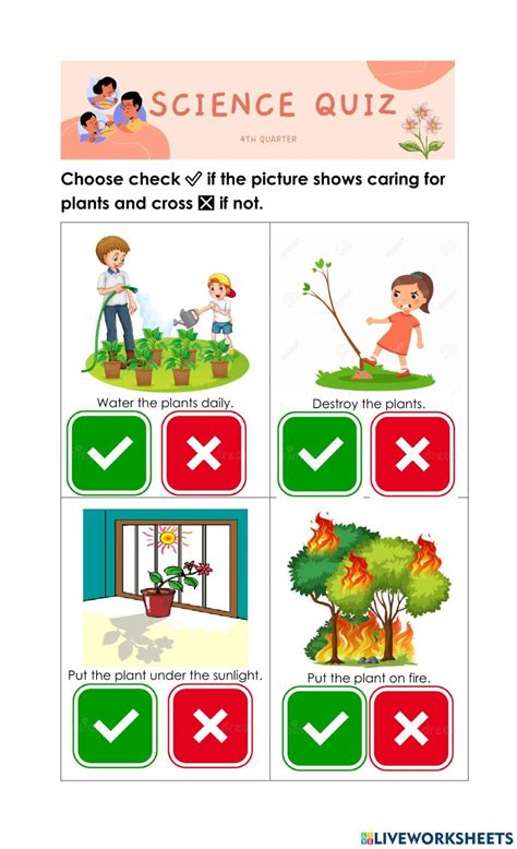 Caring for plants interactive worksheet