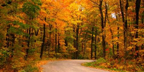 Fall Foliage in Rhode Island 2024 | Visit RI