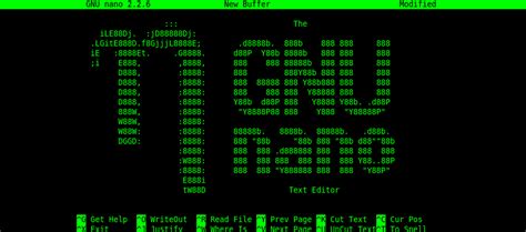 Cómo usar Nano, el editor de texto de línea de comandos en Linux • EXTASSIS NETwork Tutoriales