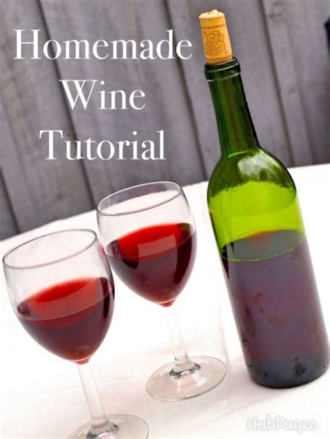 How to Make Easy Homemade Wine (Red or White) | Delishably