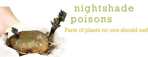 Nightshade Poisons | Dr Pepi's Health Tips Dr Pepi's Health Tips