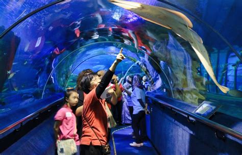 Book KLCC Aquarium Tickets 2021