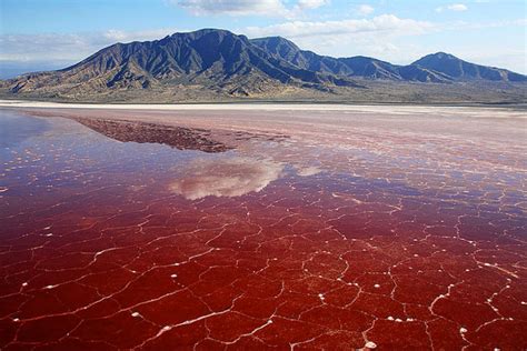 Dangerously Saline Red Lake Natron in Tanzania - Places To See In Your ...