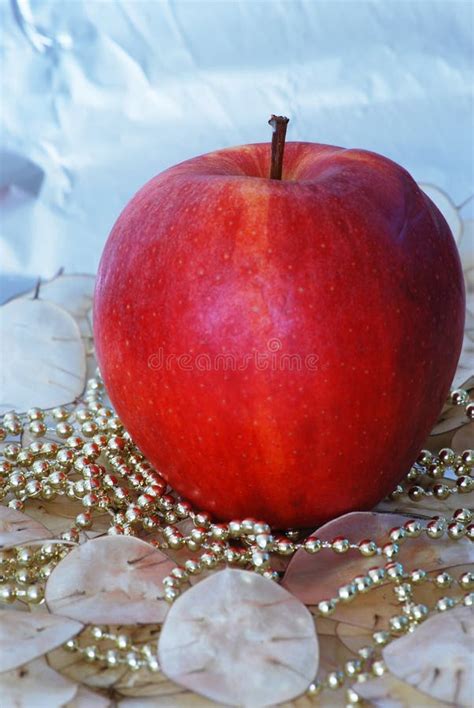 Christmas apple stock image. Image of sparkly, christmas - 11330813