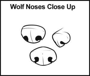 How to draw wolves. STEP 4 Here are some different types of noses that ...