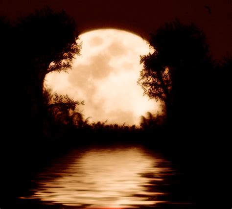 "Moonlight reflections" by chittnchat | Redbubble