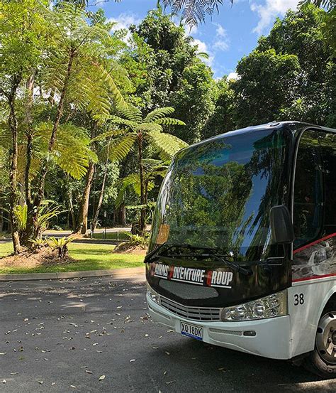 Cairns Half Day Rainforest Tour > Cairns Adventure Group