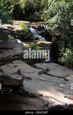 Chitradhara waterfall is located in the Bastar district, one of the serene waterfalls to visit ...