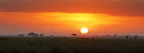 Sunrise in Amboseli National Park Stock Image - Image of park, national: 140875137