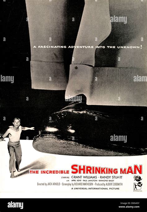 THE INCREDIBLE SHRINKING MAN Stock Photo - Alamy