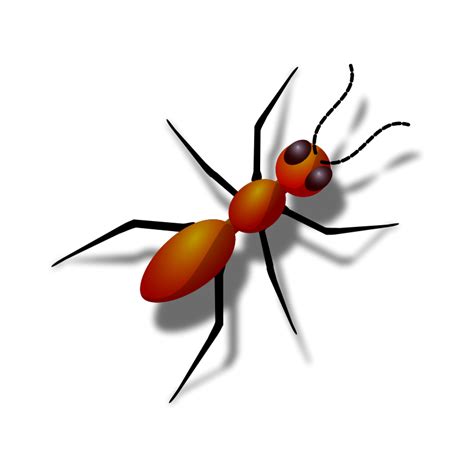 Cartoon Ants - Cute and Interesting Ant Images for Kids