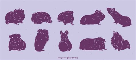 Cute Guinea Pigs Pet Animals Cut Out Set Vector Download