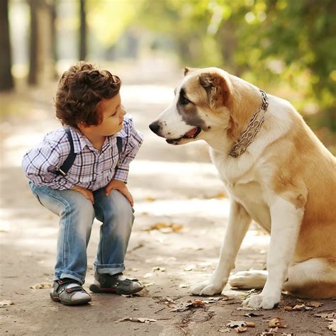 First Pets For Kids | POPSUGAR Moms