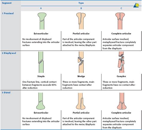 Proximal Humerus Fracture – Core EM