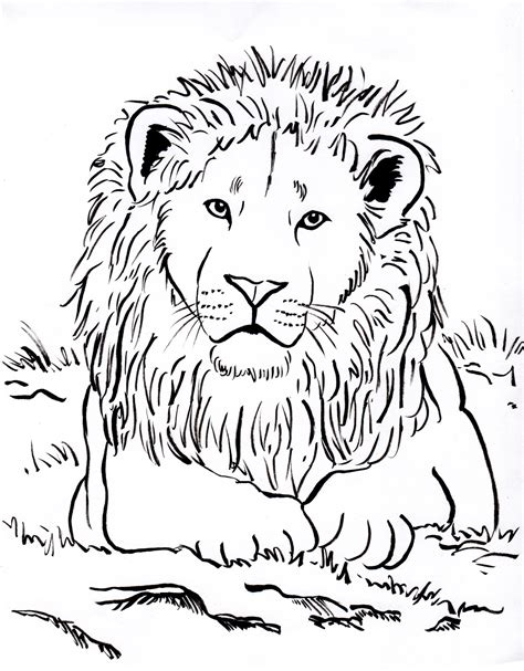 Lion Head Coloring Page At GetColorings Free Printable Colorings 11136 ...