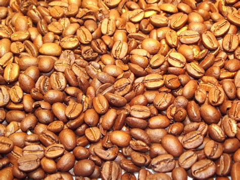 Golden Coffee Beans Free Stock Photo - Public Domain Pictures