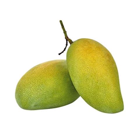 Fazli Mango Supplier - Sweet & Succulent Delights in Delhi/NCR