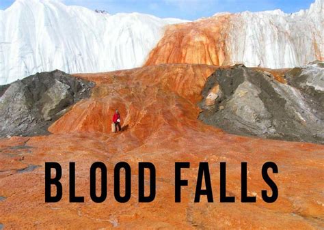 Blood Falls is a five-story blood-red waterfall leaking out of the Taylor Glacier in Antarctica ...