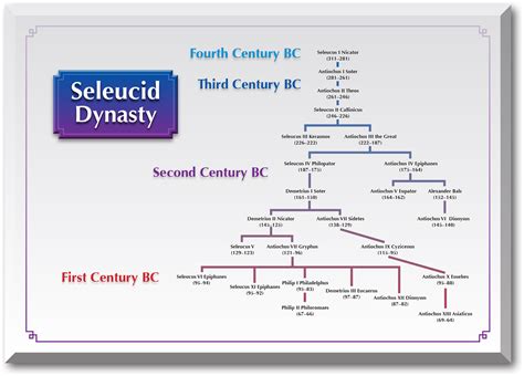 Seleucid Dynasty Collection | Coin Talk